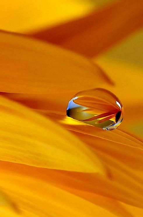 DropWater 2 (Image) DropWater 2 (Image)